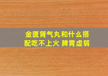 金匮肾气丸和什么搭配吃不上火 脾胃虚弱